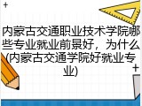 内蒙古交通职业技术学院哪些专业就业前景好，为什么(内蒙古交通学院好就业专业)