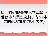 陕西财经职业技术学院毕业后就业前景怎么样，毕业生去向(陕财职院就业去向)