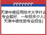 天津中德应用技术大学什么专业最好，一年招多少人(天津中德优势专业招生)