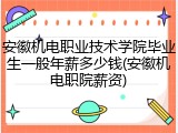 安徽机电职业技术学院毕业生一般年薪多少钱(安徽机电职院薪资)