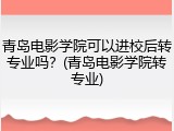 青岛电影学院可以进校后转专业吗？(青岛电影学院转专业)