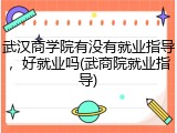 武汉商学院有没有就业指导，好就业吗(武商院就业指导)