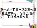滁州城市职业学院哪些专业就业前景好，为什么(滁州职院好就业专业)