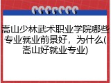 嵩山少林武术职业学院哪些专业就业前景好，为什么(嵩山好就业专业)