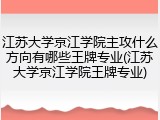 江苏大学京江学院主攻什么方向有哪些王牌专业(江苏大学京江学院王牌专业)