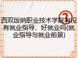 西双版纳职业技术学院有没有就业指导，好就业吗(就业指导与就业前景)