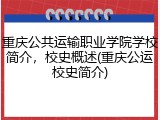 重庆公共运输职业学院学校简介，校史概述(重庆公运校史简介)