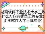 湖南软件职业技术大学主攻什么方向有哪些王牌专业(湖南软件大学王牌专业)