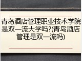 青岛酒店管理职业技术学院是双一流大学吗?(青岛酒店管理是双一流吗)
