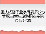 重庆旅游职业学院要多少分才能进(重庆旅游职业学院录取分数)