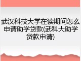 武汉科技大学在读期间怎么申请助学贷款(武科大助学贷款申请)