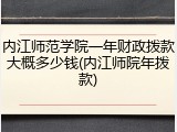 内江师范学院一年财政拨款大概多少钱(内江师院年拨款)