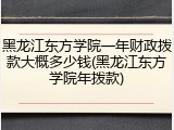 黑龙江东方学院一年财政拨款大概多少钱(黑龙江东方学院年拨款)