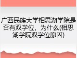 广西民族大学相思湖学院是否有双学位，为什么(相思湖学院双学位原因)