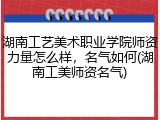 湖南工艺美术职业学院师资力量怎么样，名气如何(湖南工美师资名气)