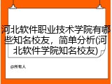 河北软件职业技术学院有哪些知名校友，简单分析(河北软件学院知名校友)