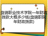 盘锦职业技术学院一年财政拨款大概多少钱(盘锦职院年财政拨款)