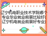 辽宁机电职业技术学院哪个专业毕业就业前景比较好(辽宁机电就业前景好专业)