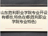 山东胜利职业学院专业开设有哪些,特色在哪(胜利职业学院专业特色)