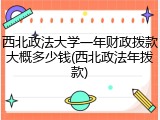西北政法大学一年财政拨款大概多少钱(西北政法年拨款)