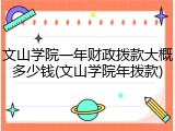 文山学院一年财政拨款大概多少钱(文山学院年拨款)