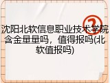沈阳北软信息职业技术学院含金量量吗，值得报吗(北软值报吗)
