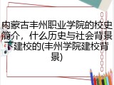 内蒙古丰州职业学院的校史简介，什么历史与社会背景下建校的(丰州学院建校背景)