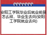 安阳工学院毕业后就业前景怎么样，毕业生去向(安阳工学院就业去向)