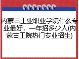 内蒙古工业职业学院什么专业最好，一年招多少人(内蒙古工院热门专业招生)