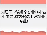 沈阳工学院哪个专业毕业就业前景比较好(沈工好就业专业)