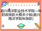 嘉兴南洋职业技术学院一年财政拨款大概多少钱(嘉兴南洋学院年拨款)