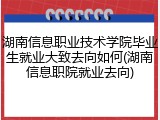 湖南信息职业技术学院毕业生就业大致去向如何(湖南信息职院就业去向)