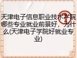 天津电子信息职业技术学院哪些专业就业前景好，为什么(天津电子学院好就业专业)