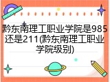 黔东南理工职业学院是985还是211(黔东南理工职业学院级别)