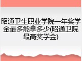 昭通卫生职业学院一年奖学金最多能拿多少(昭通卫院最高奖学金)