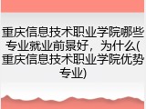 重庆信息技术职业学院哪些专业就业前景好，为什么(重庆信息技术职业学院优势专业)