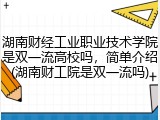 湖南财经工业职业技术学院是双一流高校吗，简单介绍(湖南财工院是双一流吗)