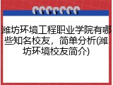 潍坊环境工程职业学院有哪些知名校友，简单分析(潍坊环境校友简介)