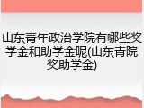 山东青年政治学院有哪些奖学金和助学金呢(山东青院奖助学金)