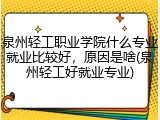 泉州轻工职业学院什么专业就业比较好，原因是啥(泉州轻工好就业专业)