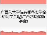广西艺术学院有哪些奖学金和助学金呢(广西艺院奖助学金)