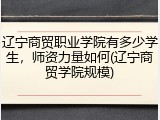 辽宁商贸职业学院有多少学生，师资力量如何(辽宁商贸学院规模)