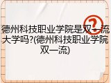 德州科技职业学院是双一流大学吗?(德州科技职业学院双一流)