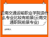 云南交通运输职业学院读什么专业比较有前景(云南交通职院前景专业)
