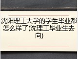 沈阳理工大学的学生毕业都怎么样了(沈理工毕业生去向)