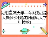 沈阳建筑大学一年财政拨款大概多少钱(沈阳建筑大学年拨款)
