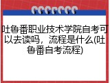 吐鲁番职业技术学院自考可以去读吗，流程是什么(吐鲁番自考流程)