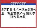 揭阳职业技术学院有哪些专业，就业前景如何(揭阳学院专业就业)