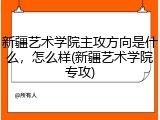 新疆艺术学院主攻方向是什么，怎么样(新疆艺术学院专攻)