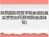 陕西国际商贸学院就读的真实感觉如何(陕商院就读体验)